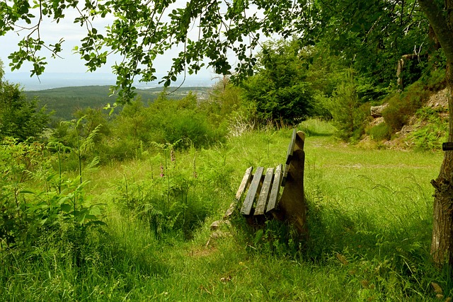 拜仁傾向於薩內離隊，而非格納布裏.
