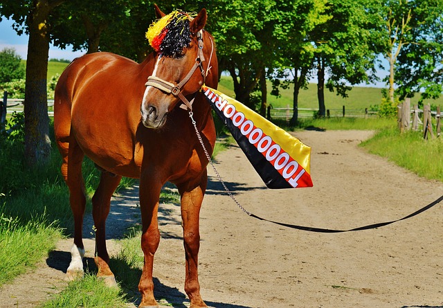 为自己的职 为自己的职