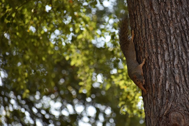 赛季展望 赛季展望